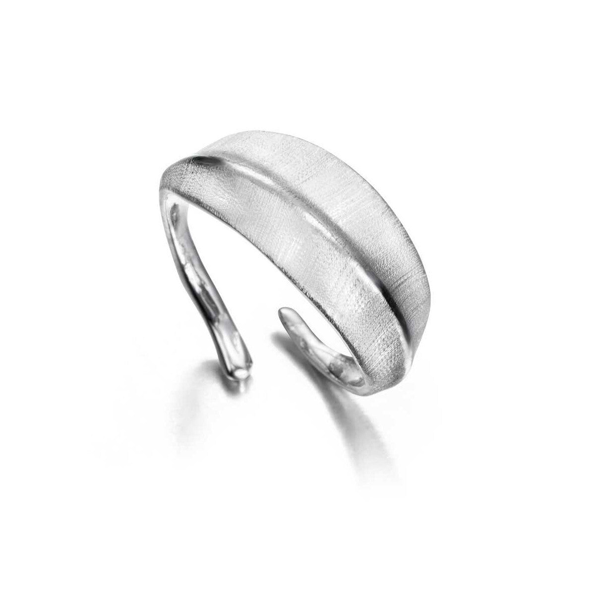 Silver ring on a white background