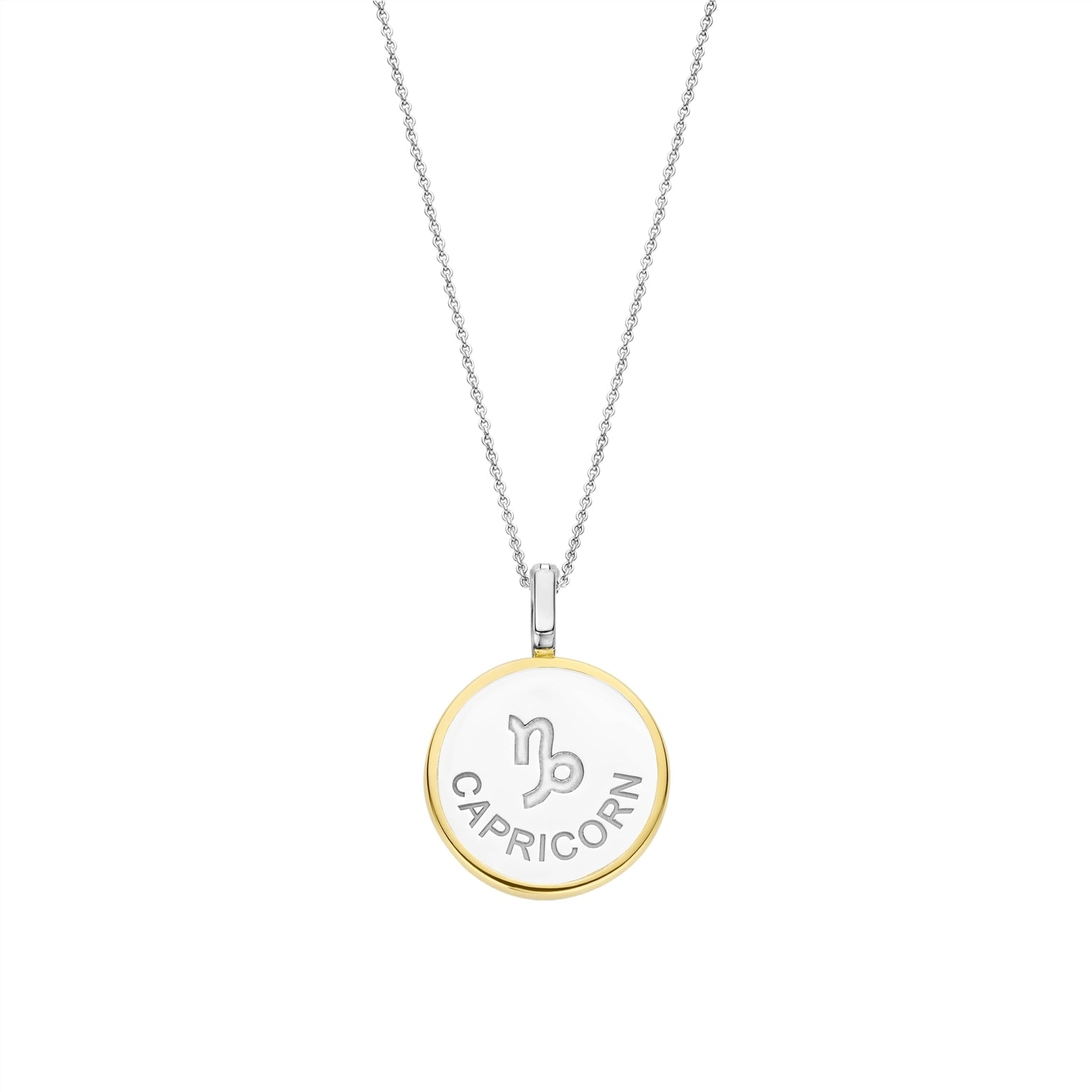 Necklace with a round pendant featuring a capricorn sign on a gold border and white stone on a white background