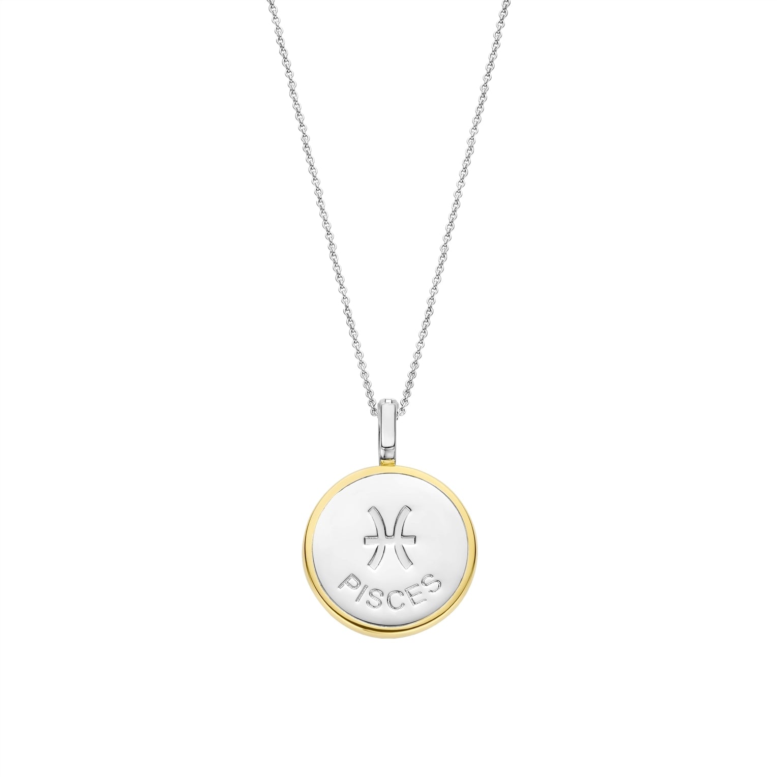 Necklace with a round pendant featuring a pisces sign on a gold border and white stone on a white background